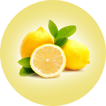 All vegetables & Fruits Supplies 