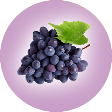 All vegetables & Fruits Supplies 