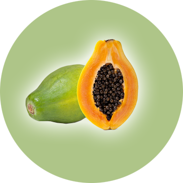 All vegetables & Fruits Supplies 